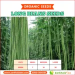 ZarkhaizBee Long Beans Seeds Pack Sizes and Seed Count
