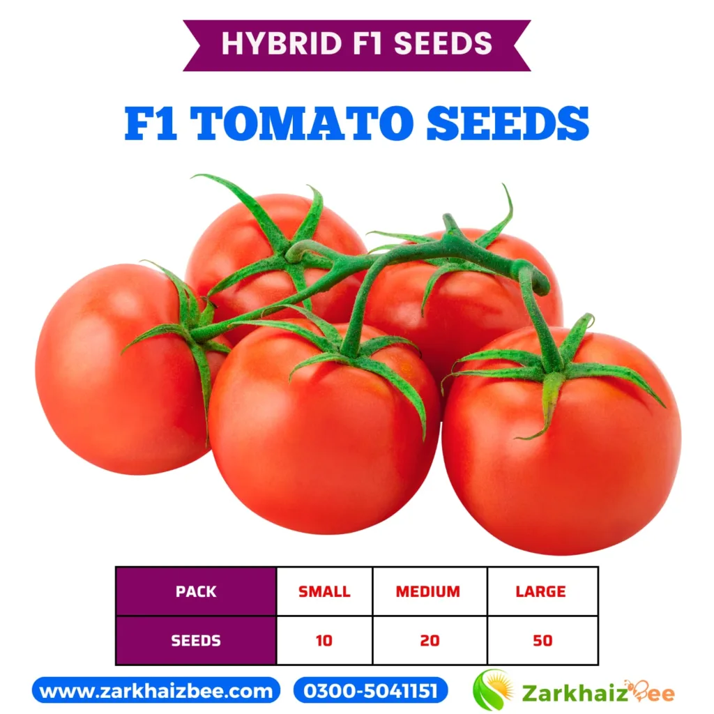 ZarkhaizBee Tomato Hybrid Seeds Pack Sizes and Seed Count Table