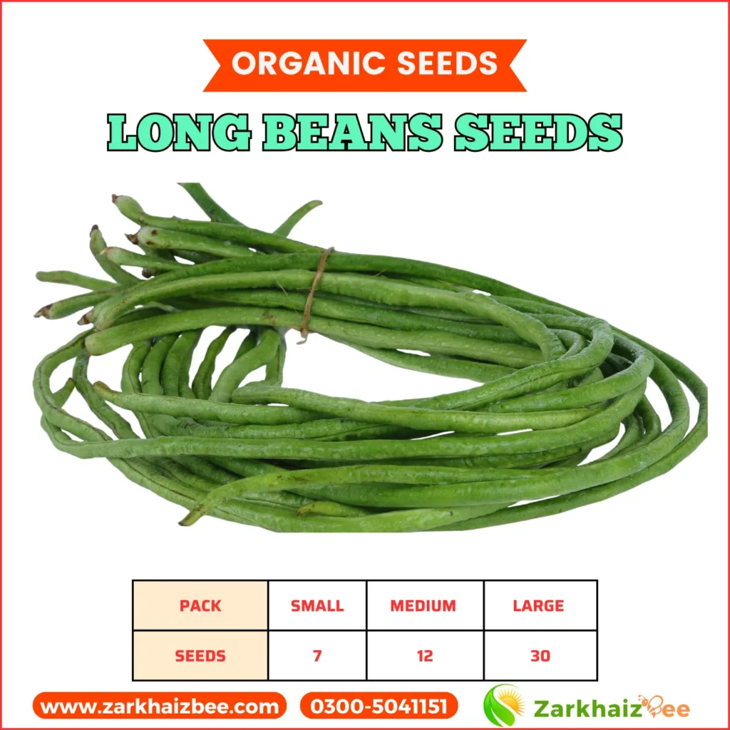 High yield organic long beans harvest from ZarkhaizBee seeds