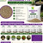 ZarkhaizBee Vermiculite Pro+ bulk supply poster showing premium horticultural vermiculite with bulk bag options from 100L to 10m³ for gardening, nurseries, hydroponics, and agriculture in Pakistan.