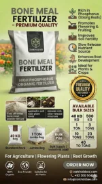 Bulk Supply | Bone Meal Price in Pakistan 2026 | Organic Bone Meal Fertilizer for Strong Roots and Heavy Blooms | ZarkhaizBee