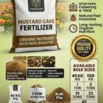 Bulk Supply | Mustard Cake Price in Pakistan 2026 | Premium Organic Mustard Cake Fertilizer | ZarkhaizBee