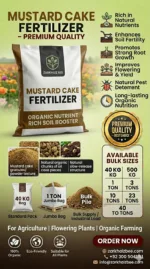 Bulk Supply | Mustard Cake Price in Pakistan 2026 | Premium Organic Mustard Cake Fertilizer | ZarkhaizBee