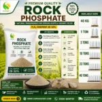 Bulk Rock Phosphate fertilizer by ZarkhaizBee with 28–32% P2O5 content available in 40KG, 1 Ton, 3 Tons, 10 Tons, 23 Tons, and 40 Tons for agriculture and farming in Pakistan.