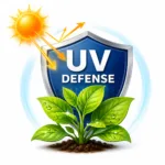 Summer Shield Series