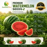 Fresh, ripe watermelons grown from ZarkhaizBee seeds in Pakistan. Sweet, disease-resistant melons ready for Daraz, market sale, or home consumption